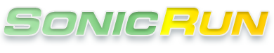 Sonic Run: Internet Search Engine