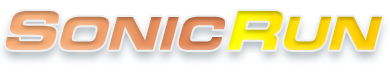 Sonic Run: Internet Search Engine